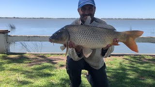 Carpa grande en San Miguel Del Monte [upl. by Iona]