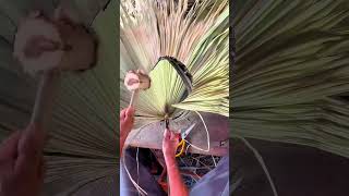 The process of making a cattail fan [upl. by Seek]