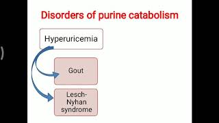 Lesch Nyhan syndrome [upl. by Phyllis]