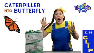 S1E4 CLIP  Butterfly Life Cycle  Caterpillar to butterfly  Bible stories for kids [upl. by Berck66]