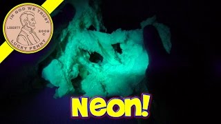 Neon Frenzy Sands Alive Glows Under UV Black Light [upl. by Gusella]