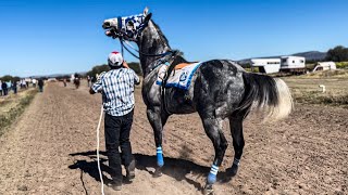 El Vaquero Vs El Pantera Carril La Tira Durango Mex [upl. by Syverson]