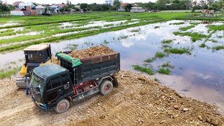 Ep3  NEW UPDATE Project Size 50X90 Landfilling Use Dozer DR51PX KOMATSU And Dump Trucks 5Ton [upl. by Luhem]