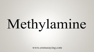 How To Say Methylamine [upl. by Loseff]