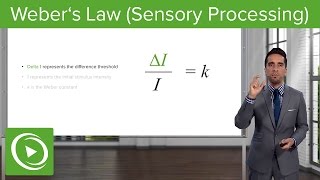 Weber´s Law Sensory Processing Proportion amp Examples – Sensing the Environment  Lecturio [upl. by Holder760]