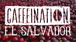 CAFFEINATION El Salvador [upl. by Wilden]