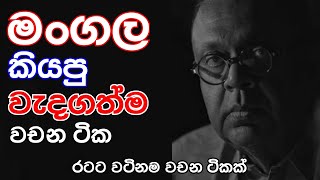 mangala samaraweera best speech  mangalas speech sinhala srilanka [upl. by Alleb]