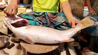 Amazing Fish Cutting amp Slicing 7 Kg Big Bhetki Barramundi Fish Cutting Skills By Expert Fisherman [upl. by Silvestro833]