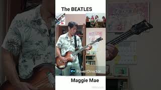 Maggie Mae hofnerbass beatlescovers violinbass letitbe [upl. by Billie465]