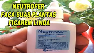 NEUTROFER TENHA PLANTAS LINDAS O ANO TODO [upl. by Karp611]