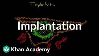 Implantation  Behavior  MCAT  Khan Academy [upl. by Charmane]