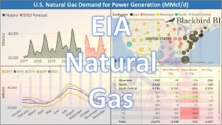 EIA Natural Gas Markets [upl. by Juana9]