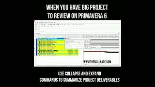 Primavera P6 Project Plan Review Tips  Construction Plan  primavera6 [upl. by Ennyl900]