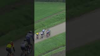 ⚠️WAAIERS💨 Scheldeprijs SP wielrennen [upl. by Nauh]