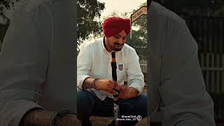 Sidhu Moose wala 295 song [upl. by Monty]