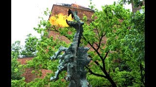 Wawel Dragon Smok Wawelski  Fire Breathing Dragon in Kraków [upl. by Oahc]