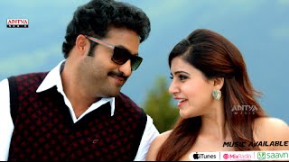 Rabasa Song Trailers  Hawa Hawa Song  Jr NTR Samantha Pranitha  Rabhasa [upl. by Ettezzus763]