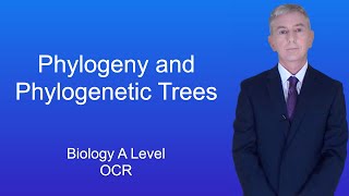 A Level Biology Revision quotPhylogeny and Phylogenetic Treesquot [upl. by Elatnahs]