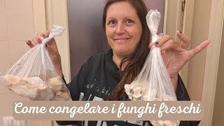 Come conservare i funghi porcini nel surgelatore correttamente per 6 mesi [upl. by Kylynn]