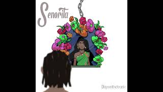 Dayonthetrack  Senorita official audio [upl. by Tenn]