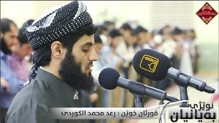 فجرية جميلة وهادئة من سورة النازعات بصوت القارئ  رعد بـن محمد الكردي quot Full HD [upl. by Tema878]