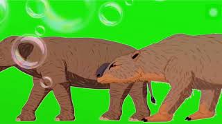 Cenozoic Animals Stampede Green Screen [upl. by Ensoll]