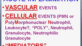 Acute And Chronic inflammation [upl. by Peri]