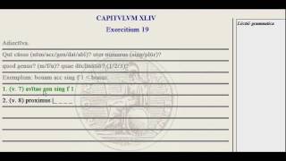 Lingua  44G  Exercise Tutorial [upl. by Comyns]