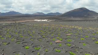 La Geria on Lanzarote [upl. by Nomed964]