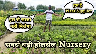 Plant Wholesaler  Cheapest Nursery of Noida DelhiNCR  Buy Plant at Wholesale Rate [upl. by Cacilie208]