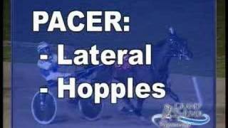 Racing 101  Trotters amp Pacers [upl. by Linnet]