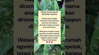 Masyaallah Tabarakallah edukasi quotes tipsandtricks viralshorts masukberanda subscribers [upl. by Jeffery]