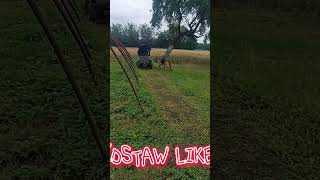 koszenie trawnika traktorkiem stiga kosiarka viral farmlife shortvideo subscribe wakacje [upl. by Tiffanle]