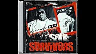 Akon ft Notorious BIG  Soul Survivors Remix [upl. by Oribelle]