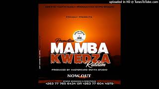 King Yaja  Nyasha Pamusoro Pangu  Mamba Kwedza Riddim Produced By Mastercard GYFM Studio [upl. by Kym]