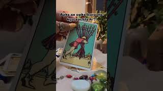 No contact  current feelings of the person 🐦‍🔥 tarotcardreading tarothindi tarotreading yt [upl. by Nyleimaj]