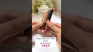 Dupe Alert 🚨‼️ save you coins ✨instagram youtube youtubeshorts beauty makeup lipstickexplore [upl. by Chip]