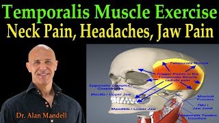 Temporalis Muscle Massage for Fast Pain Relief of Neck Head and Jaw  Dr Alan Mandell DC [upl. by Komsa]