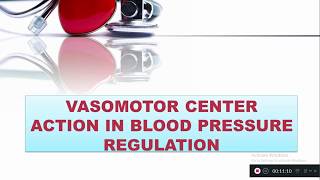 Nervous Mechanism for Blood Pressure Regulation [upl. by Wilhelmina]