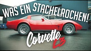 JP Performance  Was ein Stachelrochen  Chevrolet Corvette C3 [upl. by Basham624]