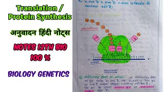 Translation अनुवादन OR Protein Synthesis Hindi Notes  Translation hindinotes biology 12bio [upl. by Tess124]