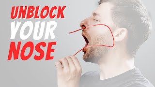 Stuffy Nose Unblock Nasal Congestion in 2 min [upl. by Nonnarb216]