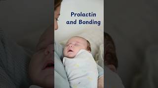 Prolactin healthy hormones bonding children nutrition childbirth glands [upl. by Harty]