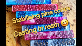 Stabilizing pine cones and casting in resin pineconesandresin woodturning woodlathe [upl. by Vitus222]