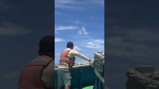 tugboat activo ocean sea trendingshorts trendingvideo world nature [upl. by Barton]