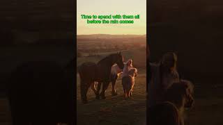 Spending time with the horses foryou shortsyoutube horse friesian minihorse [upl. by Amara]