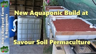 New Aquaponic system build at Savour Soil Permaculture [upl. by Attiuqahs566]