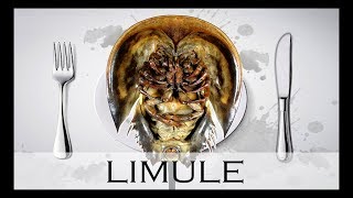 LA LIMULE  UN FOSSILE VIVANT  À Votre Table 3 [upl. by Lorrad]