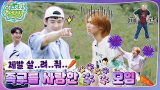 아스트로 세상 언제 끝나 그냥… 졌어 우리가🔥 드르륵 탁…⏪ EP3 [upl. by Derfnam]