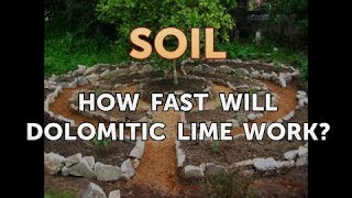 How Fast Will Dolomitic Lime Work [upl. by Ladd]